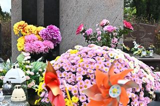 Aniołki i misie strzegą grobu 6-letniej Sandry, obok rozkwita kwiat róży