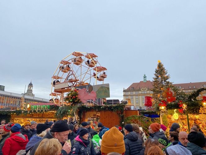 Najstarszy jarmark bożonarodzeniowy w Niemczech. Drezno zachwyca turystów z całego świata 