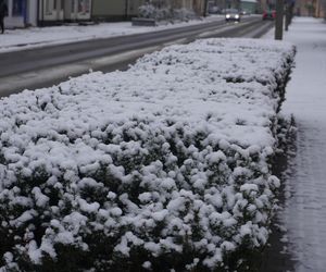 Zima w Świętokrzyskiem. Skarżysko-Kamienna (22.11.2024)