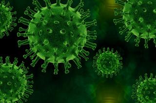 Gigantyczna liczba zachorowań na grypę w Polsce. Ponad tysiąc skierowań do szpitala