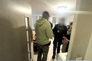 Wielka akcja służb we Wrocławiu. 17-latkowie z Ukrainy w rękach policji 