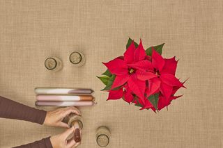 Adwentowa aranżacja z gwiazdą betlejemską