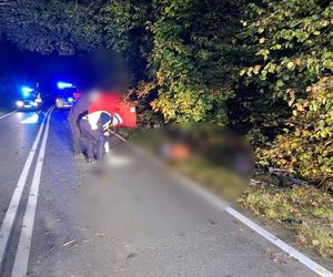 Łebieńska Huta. 10-latek zginął, bo trafił na szaleńca drogowego