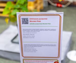 Targi Zieleń to życie 2025 - rośliny doniczkowe