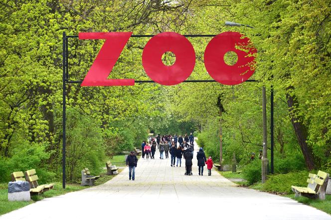 Warszawskie ZOO