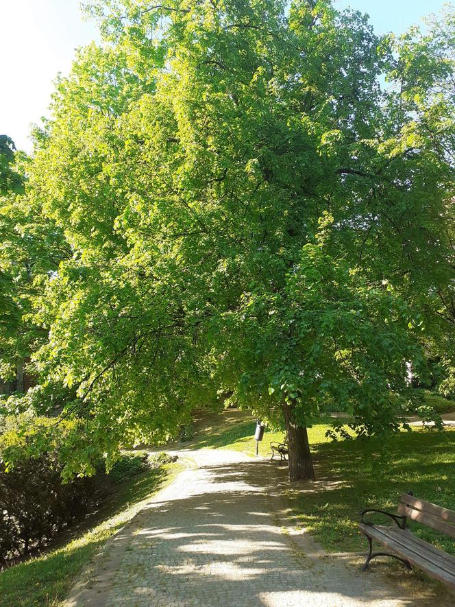 Park Dolina Szwajcarska w Warszawie