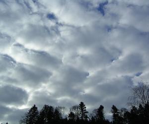 Rodzaje chmur - Stratocumulus