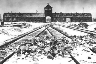 Tak wyglądał koszmar obozu zagłady Auschwitz. Przerażająca statystyka 