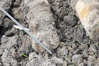 W Szubinie znaleziono pociski artyleryjskie