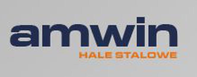 logo amwin