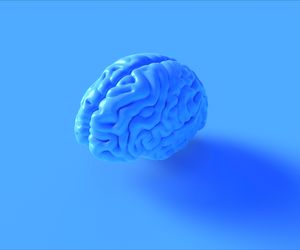 Istota szara (substancja szara) - zanik, funkcja, uszkodzenie