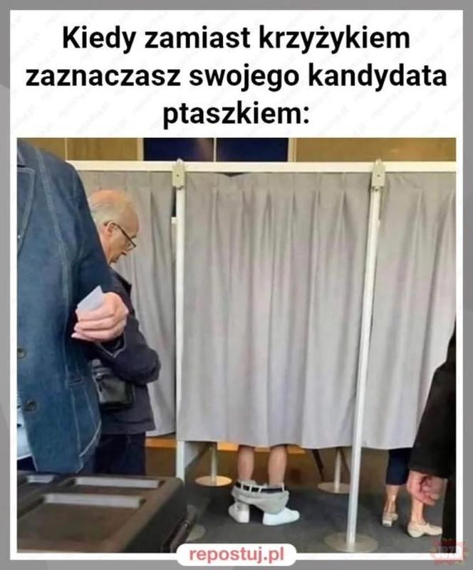 Najlepsze memy po wyborach prezydenckich 2025