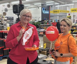 Zobaczcie co zmajstrowaliśmy! Wakacyjne odwiedziny w olsztyńskim Bricomarche