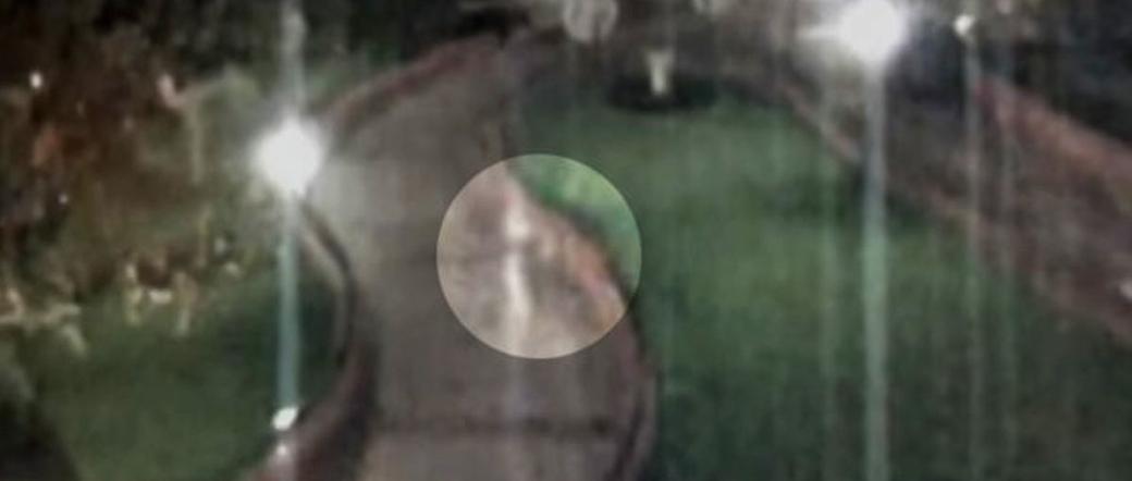 Duch Disneya straszy dzieci