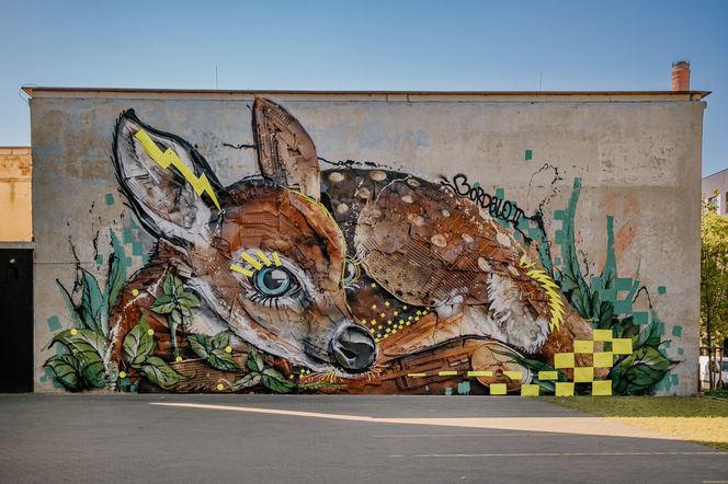 Nowy mural Bordalo II przy ul. Słowiańskiej w Łodzi