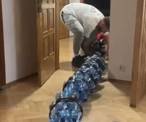 Gigantyczny pająk z plastikowych butelek ozdobił dom w Lublinie