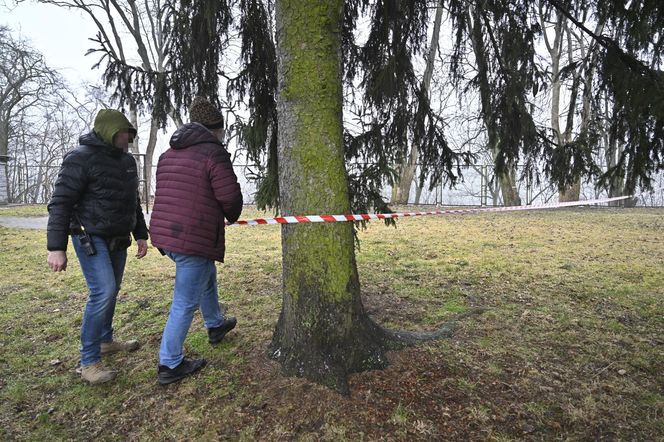 Wielka akcja policji w Nowym Dworze Mazowieckim. Znaleziono ludzkie szczątki