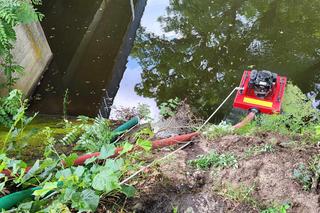 Duży pożar lasu w powiecie wolsztyńskim. Poszkodowani zostali strażacy!