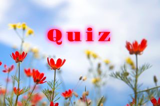 QUIZ wiedzy ogólnej o 21 marca. Sprawdź, co wiesz o tym dniu!