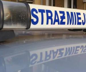 Strażnicy Miejscy wsparli potrzebującego seniora