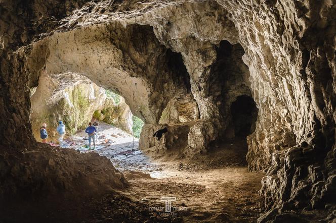 Jaskinia Mamutowa w Wierzchowiu [ZDJĘCIE DNIA]