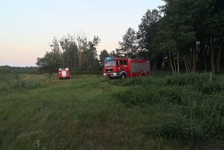 Ciągnik przygniótł 40-latka. Straszna śmierć traktorzysty spod Obornik!