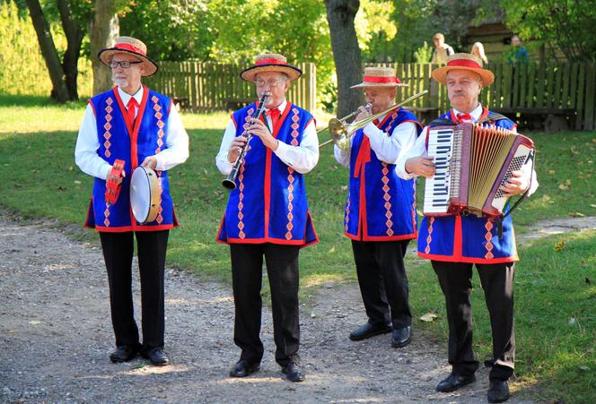 Wykopki kartoflane w lubelskim skansenie