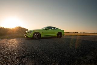 Ford Mustang GT 5.0 V8 55 Edition