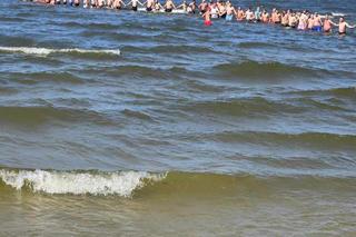 Łańcuch życia w Łebie