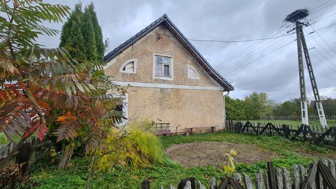 Stolarz-furiat atakuje wszystkim, co ma pod ręką