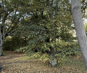 Jesień w Polsce 2025