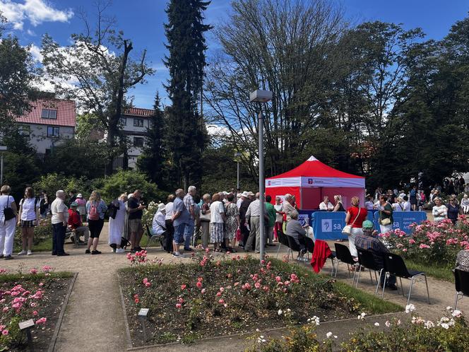 Kolejka tort urodziny Szczecina 