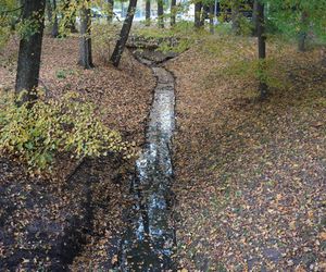 Park Lubomirskich w Białymstoku jesienią 