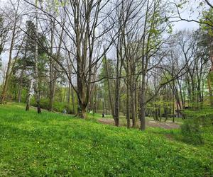 Kraków. Wyremontowany park Bednarskiego oficjalnie otwarty