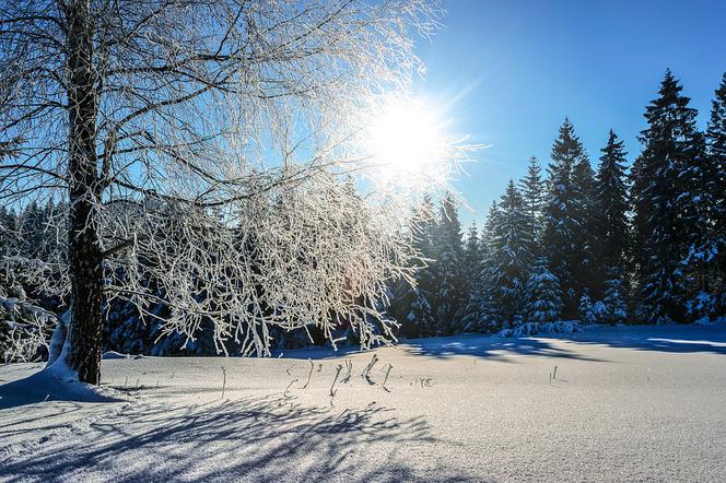 Uwaga! Od środy arktyczne mrozy [PROGNOZA POGODY]