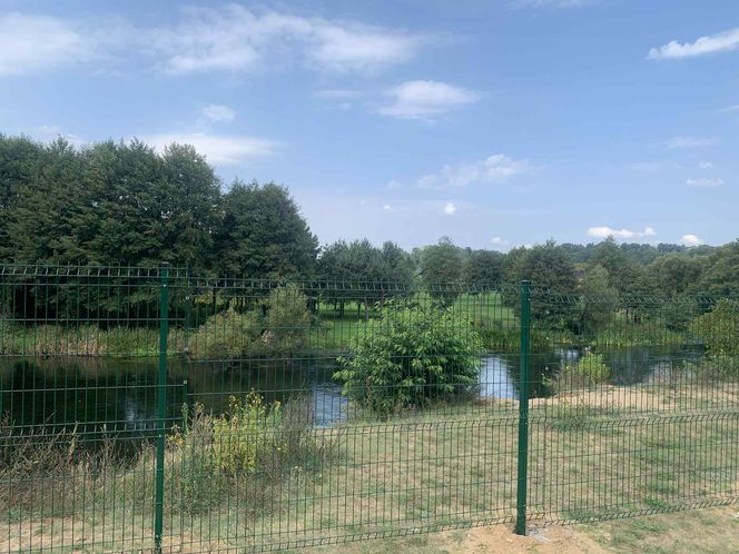 Dzika plaża w Bydgoszczy została zamknięta. Znamy powody decyzji