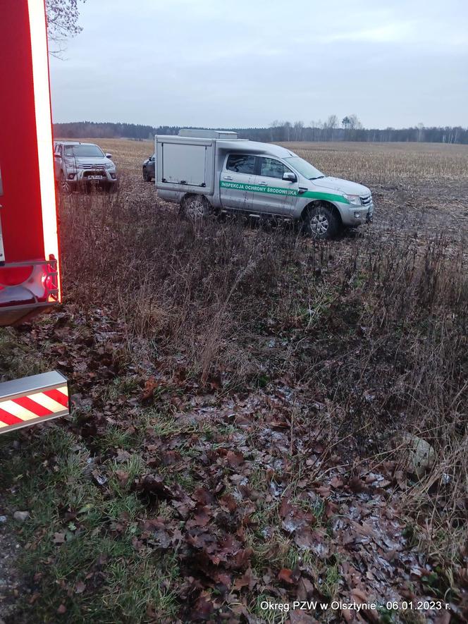 Rzeka Pasłęka zanieczyszczona brunatną cieczą o zapachu gnojowicy [ZDJĘCIA]