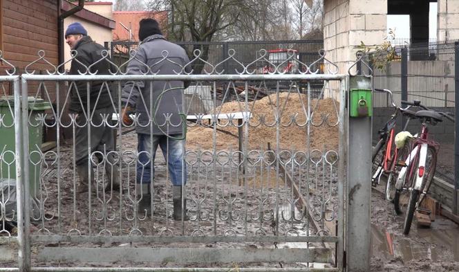 Rolnicy. Podlasie. Gorąco w Plutyczach. Gienek i Sławek próbowali zagonić cielaki do obory