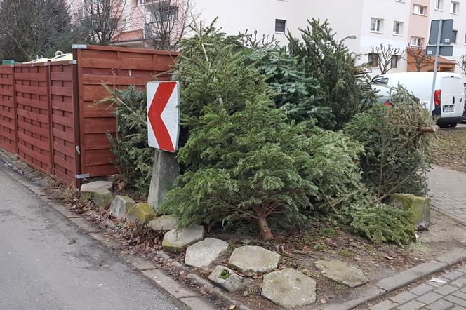 Koniec okresu świątecznego, rozbieramy choinkę