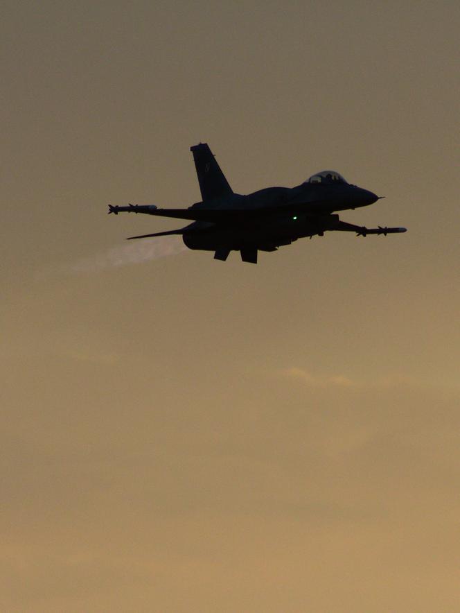 Jest kolejny rekord frekwencji na pokazach lotniczych Antidotum Airshow Leszno