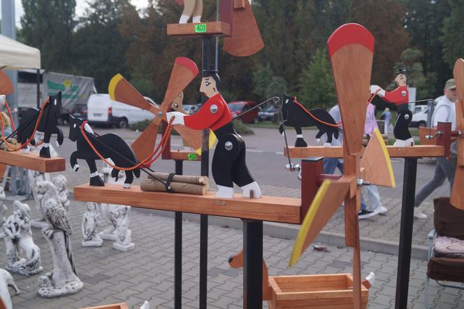 Jesienny Kiermasz Ogrodniczy 2023. Tłumy przy bydgoskim "Torbydzie" [ZDJĘCIA]