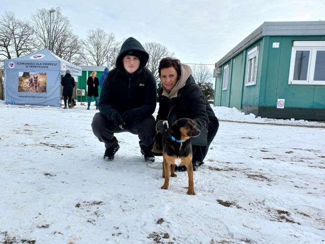 Schronisko dla bezdomnych zwierząt w Henrykowie prosi o słomę [ZDJĘCIA]