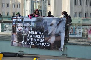 Dzień Bez Futra w Rzeszowie. Aktywiści wywiesili baner na ogrągłej kładce