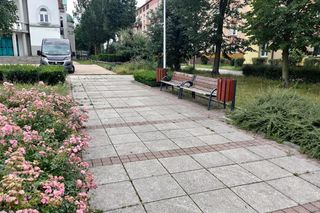 Zatłukł Młotkiem Tomasza dostał 25 lat