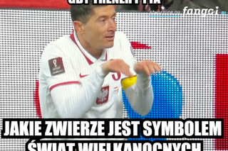 MEMY po meczu Polska - Szwecja