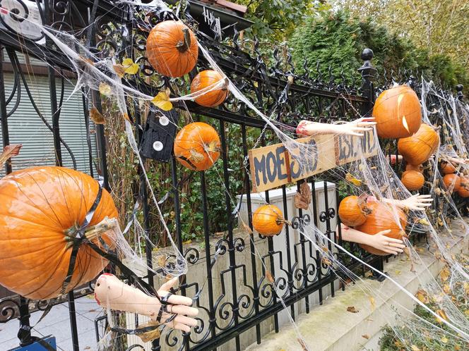 Willa na Jaśkowej Dolinie znów ozdobiona. Tym razem przechodniów zaskakują halloweenowe straszydła!