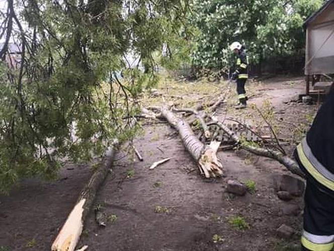 TRĄBA POWIETRZNA powietrzna w Łódzkiem. ZOBACZ Jakie szkody wywołał żywioł? [FOTO, WIDEO]