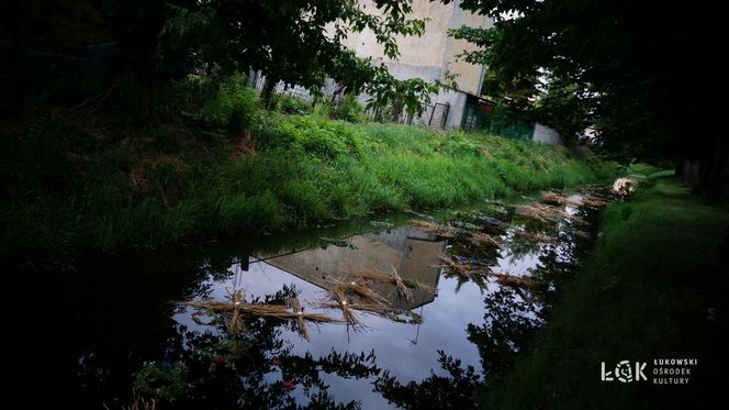 Impreza "Wianki nad Krzną" odyła się w Łukowie już po raz siódmy