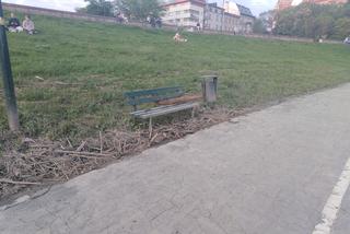 Kraków: Syf, smród i tony śmieci. Tak wyglądają bulwary wiślane po powodzi