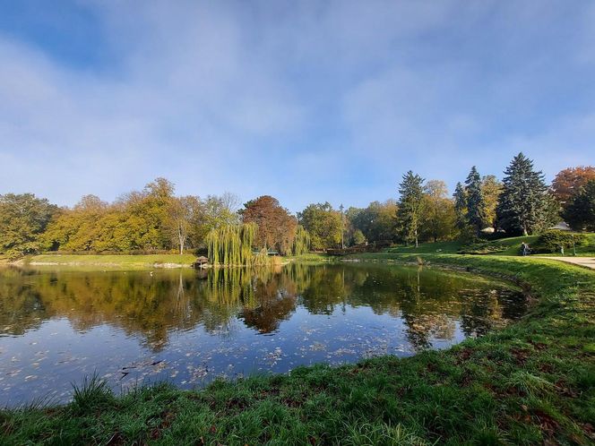 Zamojski Park jesienią